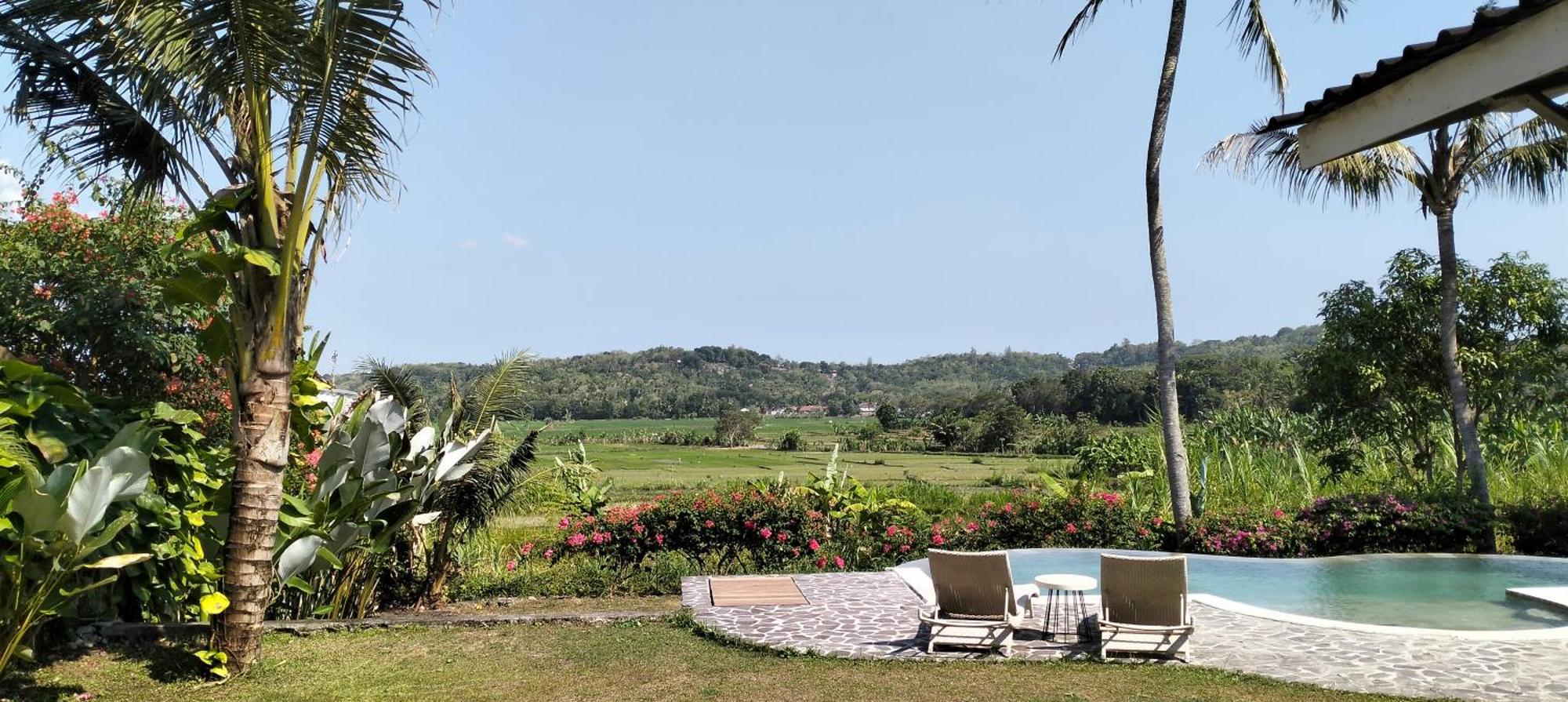 Sunmoonstarvillas Yogyakarta Jarakan Екстериор снимка